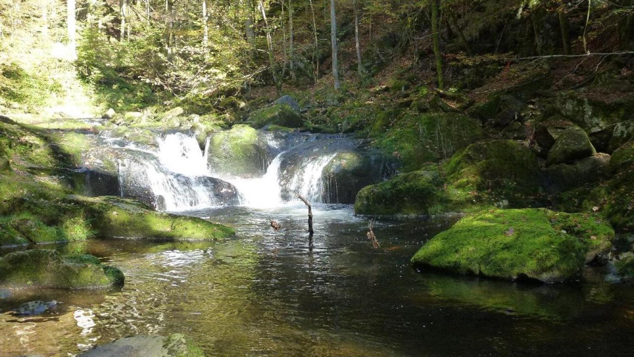 Ferienwohnung Fernblick Freyung Bagian luar foto